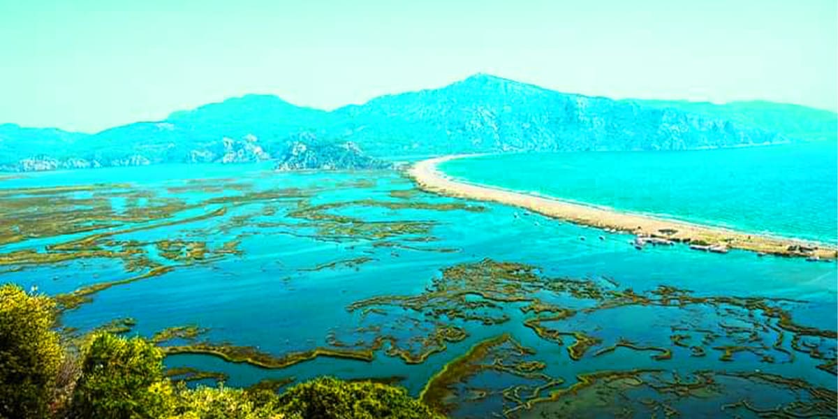 dalyan-river-boat-tour-6