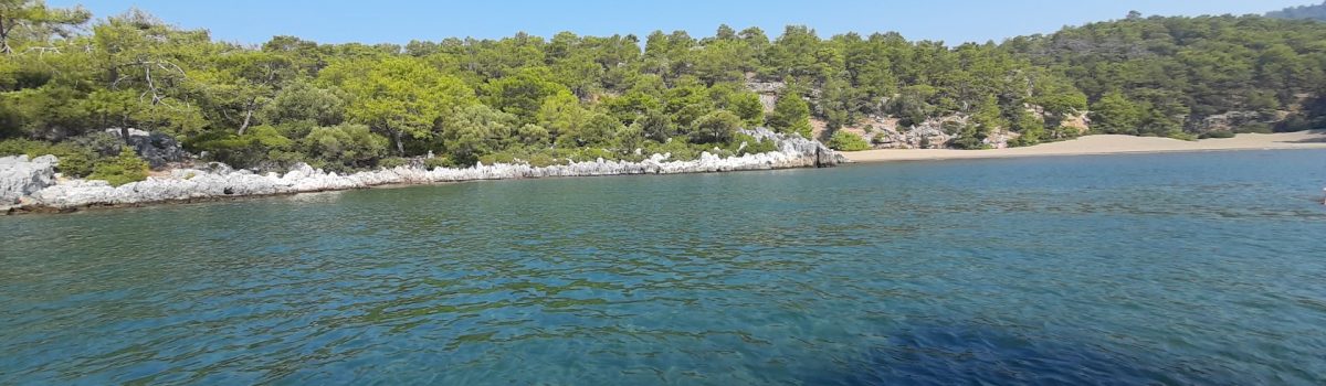 تورهای قایق دالیان 6 20230825_103110