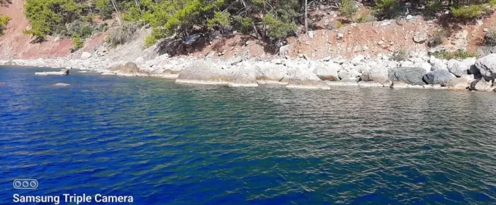 dalyan-iztuzu-sultaniye-koycegiz-tekne-turu-2-qse5kzuo8vqu9hrblwubpx5bbp44c3tgog3p2yf9uo.jpg