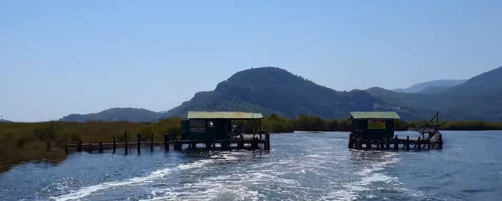 Dalyan River Boat Tour 13 dalyan-nehri-tekne-turu-6