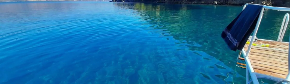 Dalyan Boat Tours 8 20211024_131946